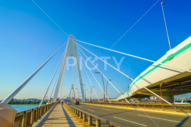 写真のタイトルが入ります