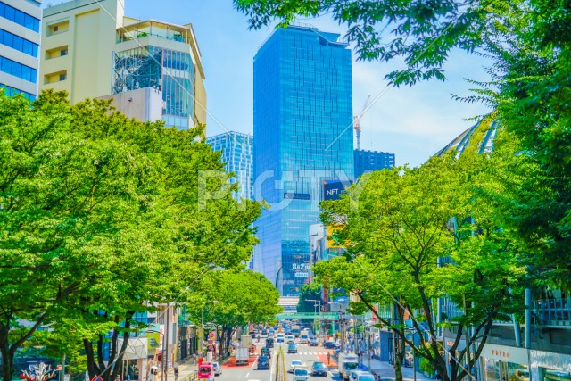 写真のタイトルが入ります
