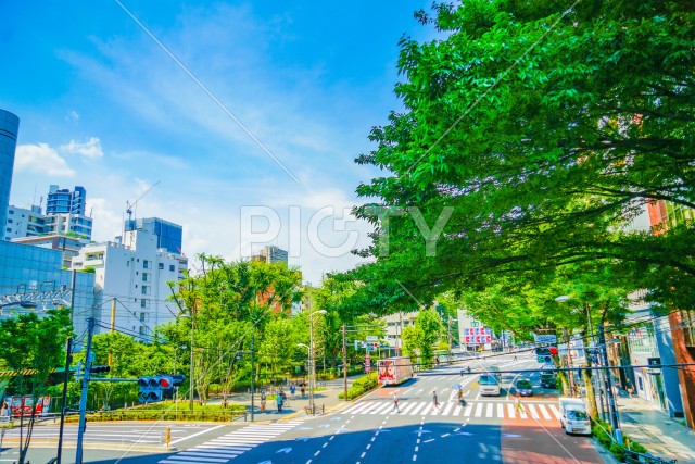 写真のタイトルが入ります