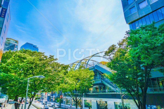 写真のタイトルが入ります