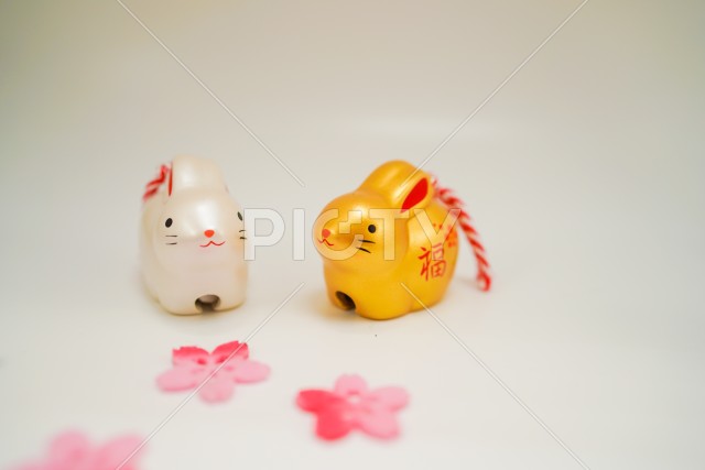写真のタイトルが入ります