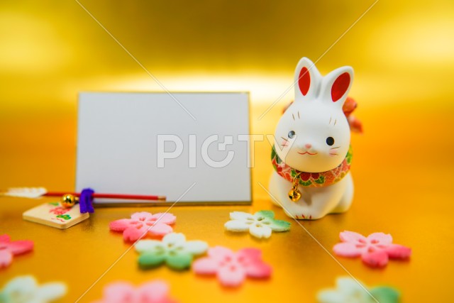 写真のタイトルが入ります
