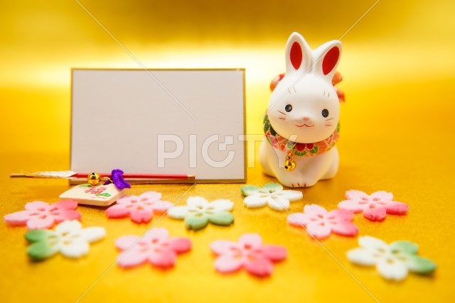 写真のタイトルが入ります