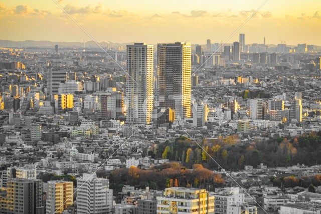 写真のタイトルが入ります