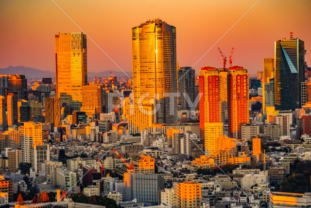 写真のタイトルが入ります