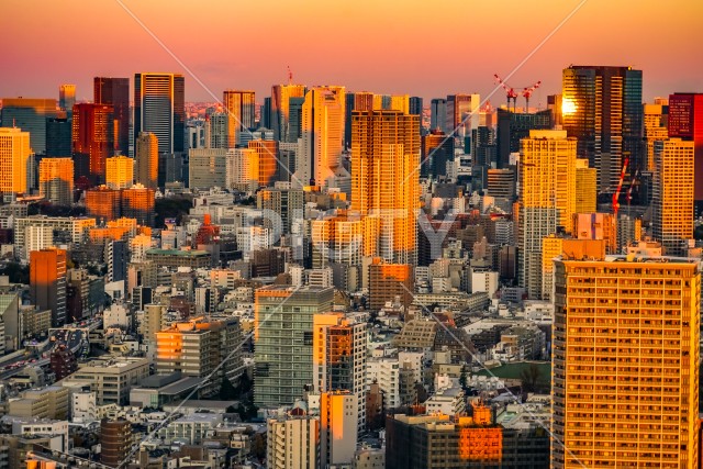 写真のタイトルが入ります