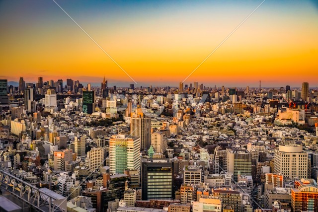 写真のタイトルが入ります