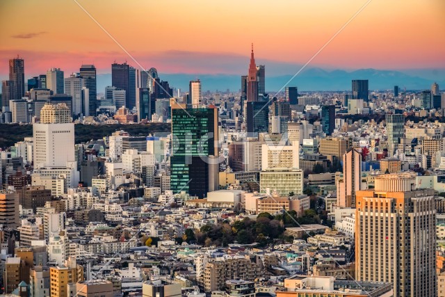 写真のタイトルが入ります