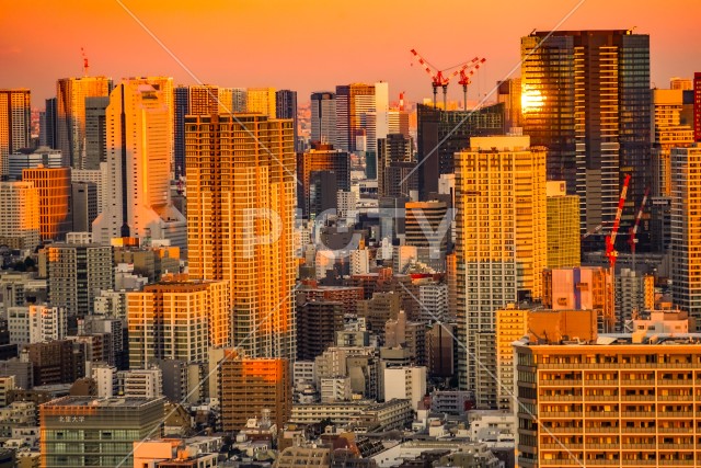 写真のタイトルが入ります