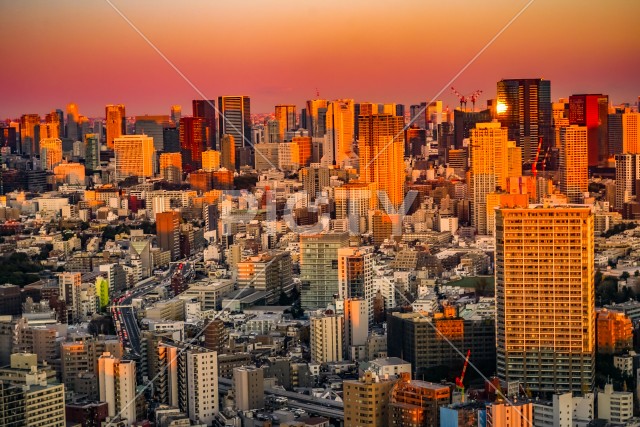写真のタイトルが入ります