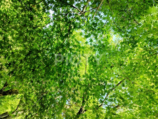 写真のタイトルが入ります