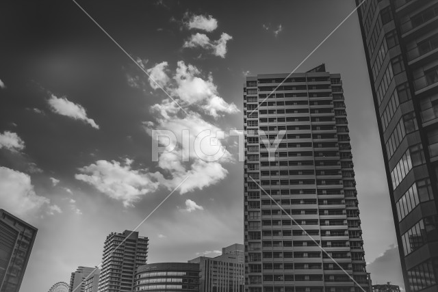 写真のタイトルが入ります