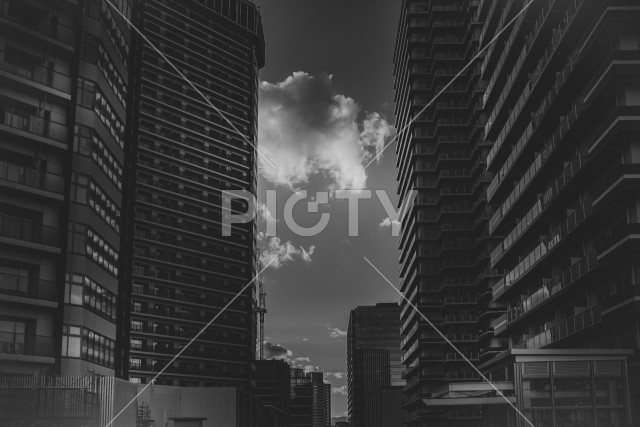 写真のタイトルが入ります