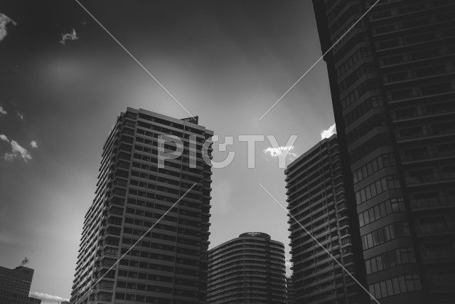 写真のタイトルが入ります