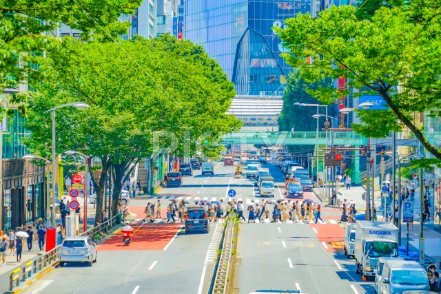 写真のタイトルが入ります