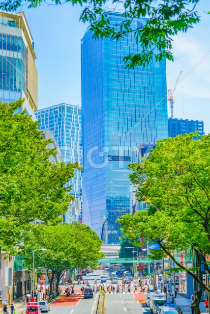 写真のタイトルが入ります