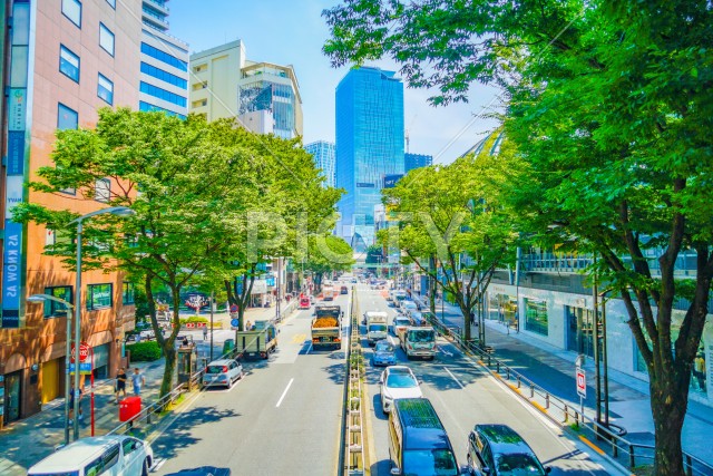 写真のタイトルが入ります