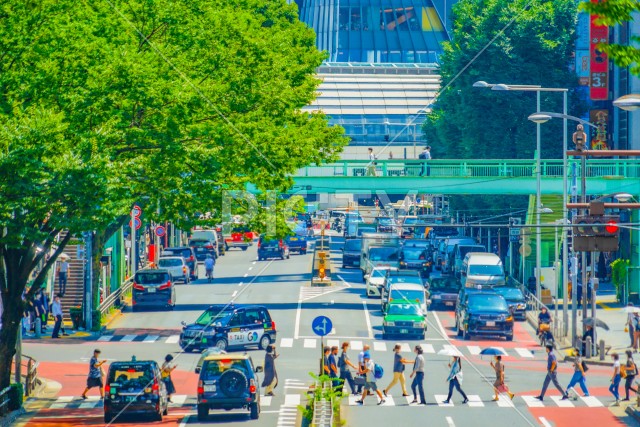 写真のタイトルが入ります