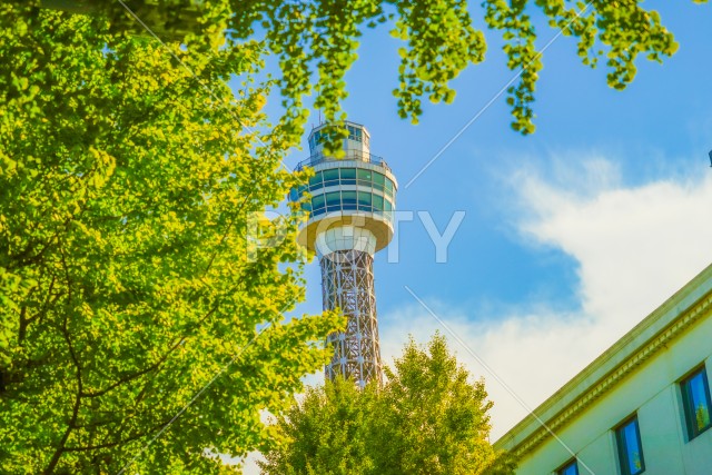 写真のタイトルが入ります