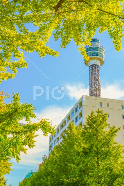 写真のタイトルが入ります