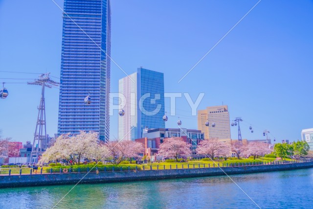 写真のタイトルが入ります