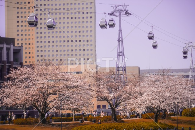 写真のタイトルが入ります