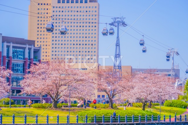 写真のタイトルが入ります