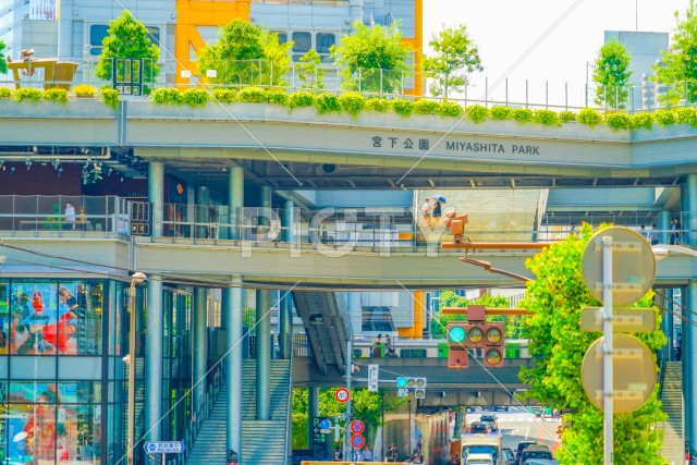 写真のタイトルが入ります