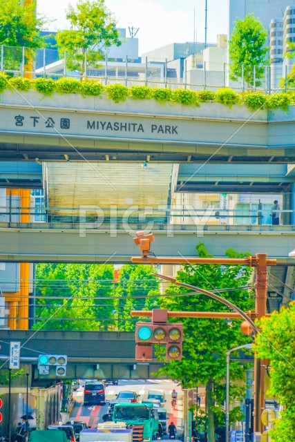 写真のタイトルが入ります