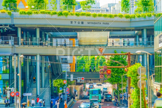 写真のタイトルが入ります