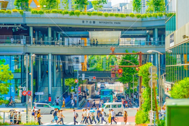 写真のタイトルが入ります