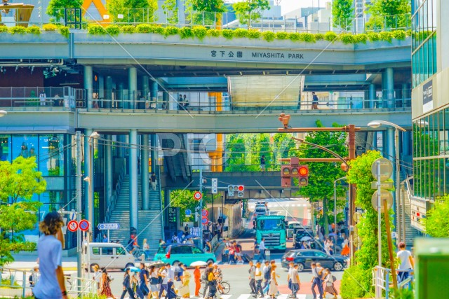 写真のタイトルが入ります