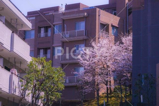 写真のタイトルが入ります