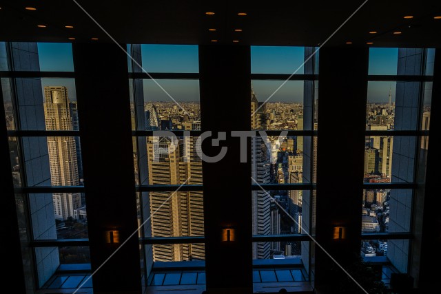 写真のタイトルが入ります