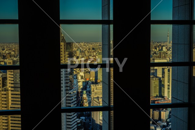 写真のタイトルが入ります
