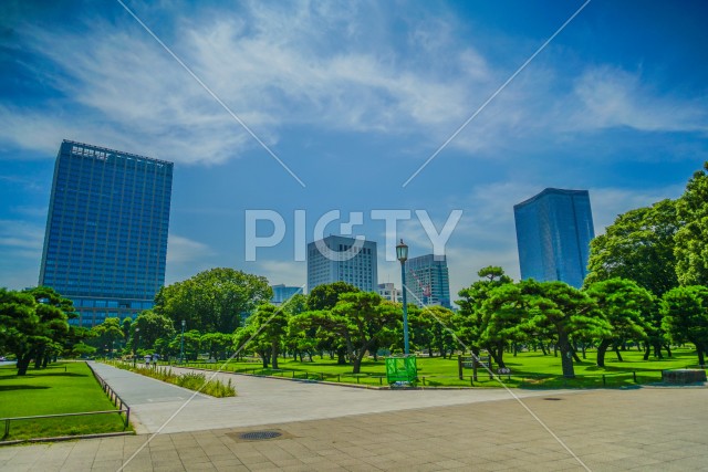 写真のタイトルが入ります