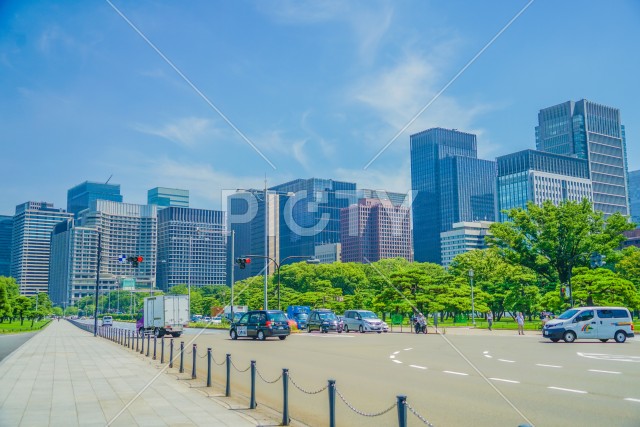 写真のタイトルが入ります