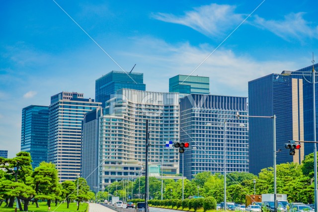 写真のタイトルが入ります