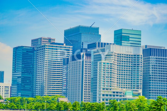写真のタイトルが入ります