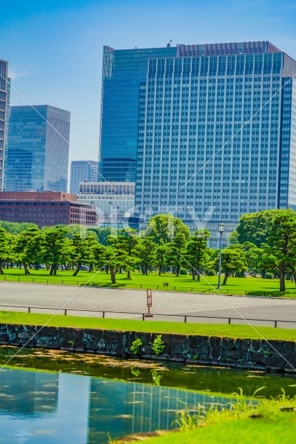 写真のタイトルが入ります