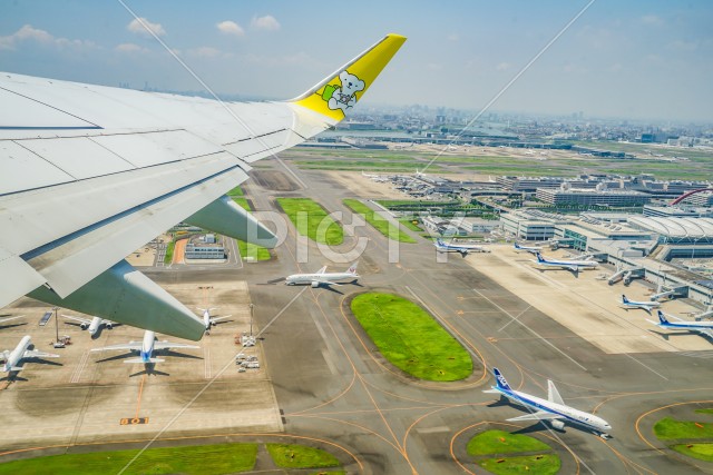 写真のタイトルが入ります