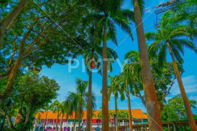 写真のタイトルが入ります