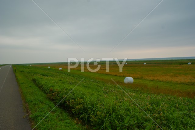 写真のタイトルが入ります