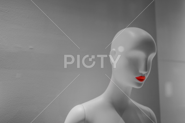 写真のタイトルが入ります