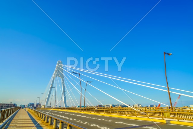 写真のタイトルが入ります