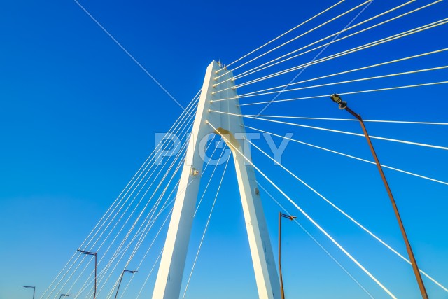 写真のタイトルが入ります
