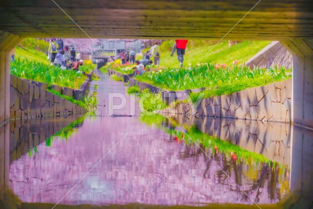 写真のタイトルが入ります