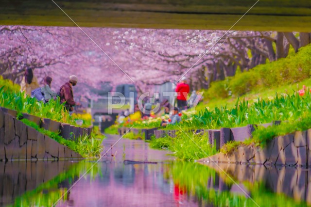 写真のタイトルが入ります