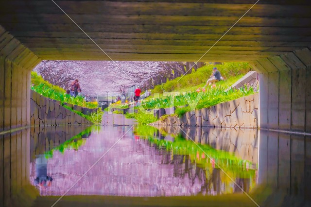 写真のタイトルが入ります