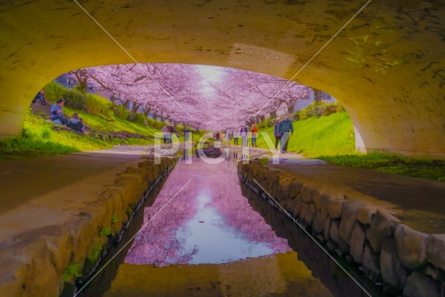 写真のタイトルが入ります